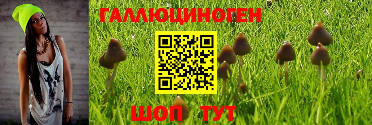 Псилоцибиновые грибы MAGIC MUSHROOMS  Вход с VPN  Кемерово  Галлюциногенные грибы Magic Shrooms 